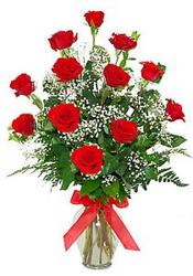 Classic Dozen Long Stem Roses Classic Dozen Long Stem Roses