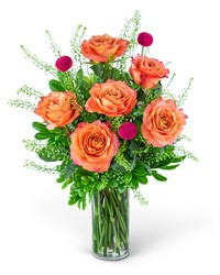 Half Dozen Wild and Free Spirit Roses Half Dozen Wild and Free Spirit Roses