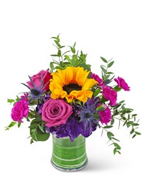 Sunny Blooms Sunny Blooms