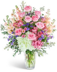 Queen of the Clouds Queen of the Clouds