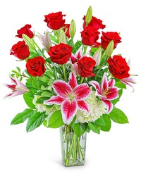 Enchanting Dozen Enchanting Dozen