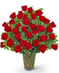 Three Dozen Elegant Red Roses Three Dozen Elegant Red Roses