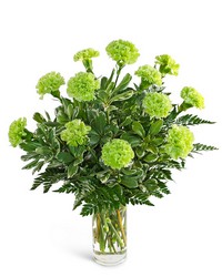 One Dozen Green Carnations from Brennan's Secaucus Meadowlands Florist One Dozen Green Carnations from Brennan's Secaucus Meadowlands Florist