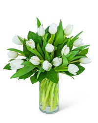 White Tulips from Brennan's Secaucus Meadowlands Florist White Tulips from Brennan's Secaucus Meadowlands Florist