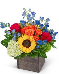 Sunrise in Havana from Brennan's Secaucus Meadowlands Florist Sunrise in Havana from Brennan's Secaucus Meadowlands Florist