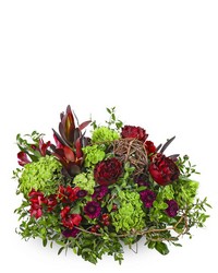 Modern Merlot from Brennan's Secaucus Meadowlands Florist Modern Merlot from Brennan's Secaucus Meadowlands Florist