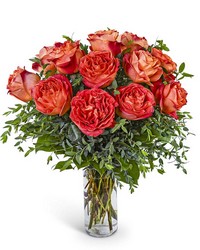 One Dozen Wild Spirit Roses One Dozen Wild Spirit Roses