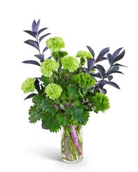Emerald Embrace from Brennan's Secaucus Meadowlands Florist Emerald Embrace from Brennan's Secaucus Meadowlands Florist