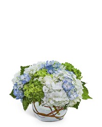 Dreamy Hydrangea from Brennan's Secaucus Meadowlands Florist Dreamy Hydrangea from Brennan's Secaucus Meadowlands Florist
