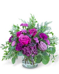 Nordic Magenta from Brennan's Secaucus Meadowlands Florist Nordic Magenta from Brennan's Secaucus Meadowlands Florist