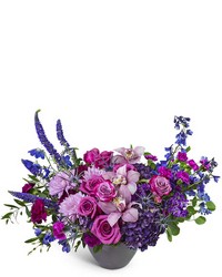 Moonlight in Tahiti from Brennan's Secaucus Meadowlands Florist Moonlight in Tahiti from Brennan's Secaucus Meadowlands Florist