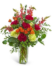 Sorrento Flora from Brennan's Secaucus Meadowlands Florist Sorrento Flora from Brennan's Secaucus Meadowlands Florist