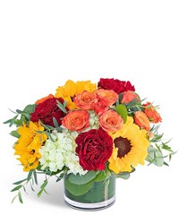 Sunset in Savannah from Brennan's Secaucus Meadowlands Florist Sunset in Savannah from Brennan's Secaucus Meadowlands Florist