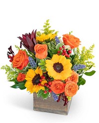 Rosewood Canyon from Brennan's Secaucus Meadowlands Florist Rosewood Canyon from Brennan's Secaucus Meadowlands Florist