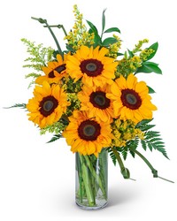 Sunflowers and Love Knots Sunflowers and Love Knots