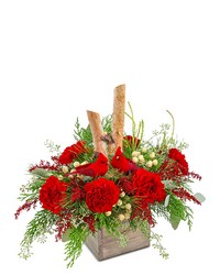Woodland Cardinal Cheer from Brennan's Secaucus Meadowlands Florist Woodland Cardinal Cheer from Brennan's Secaucus Meadowlands Florist
