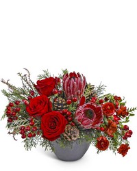 Noir Noel from Brennan's Secaucus Meadowlands Florist Noir Noel from Brennan's Secaucus Meadowlands Florist