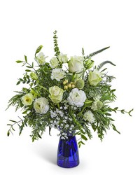 Sapphire Snow from Brennan's Secaucus Meadowlands Florist Sapphire Snow from Brennan's Secaucus Meadowlands Florist